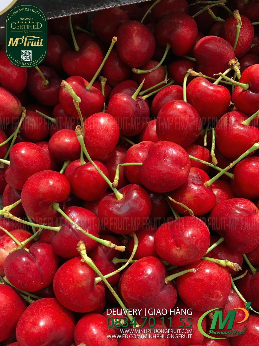 Cherry Đỏ Mỹ Size 8 | Meena tại MP Fruits