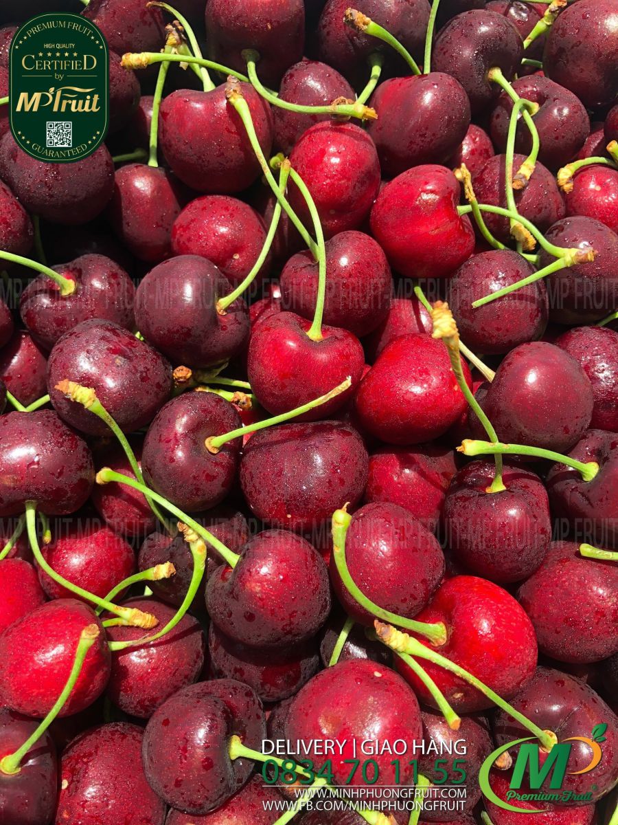Cherry Đỏ Mỹ Size 9.5 | Hilltop tại MP Fruits