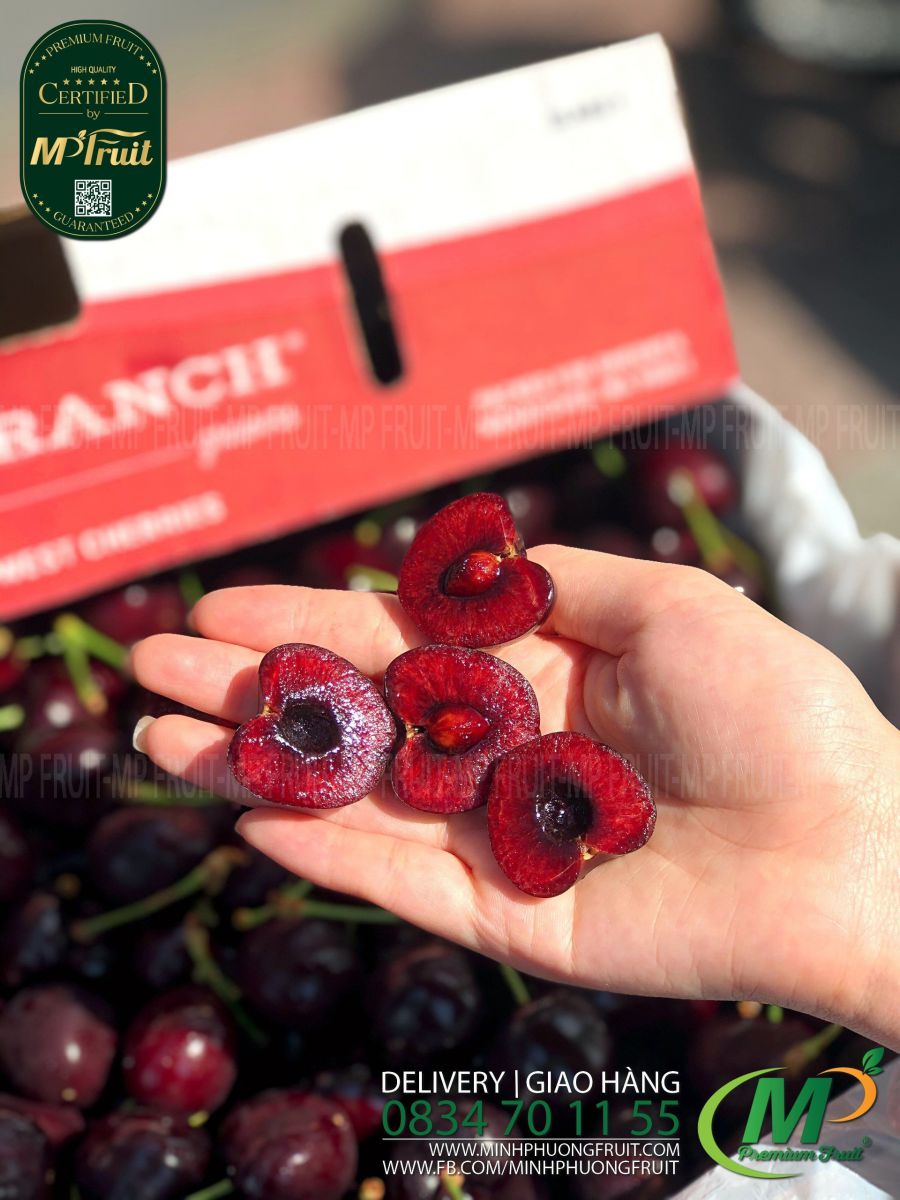 Cherry Đỏ Mỹ Size 9 | Starr Ranch tại MP Fruits