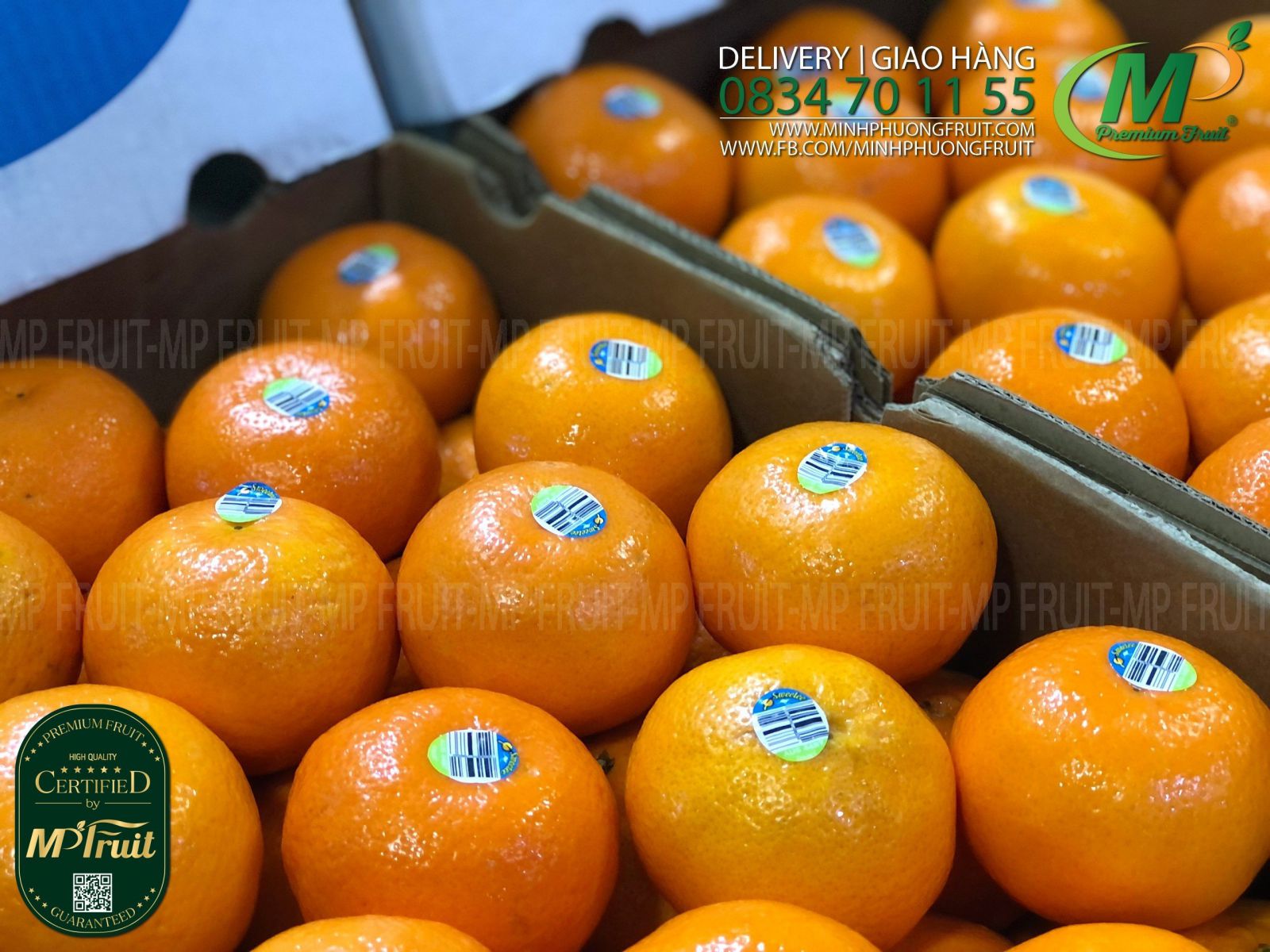 Quýt Daisy Mandarin Úc | Sweetee tại MP Fruits