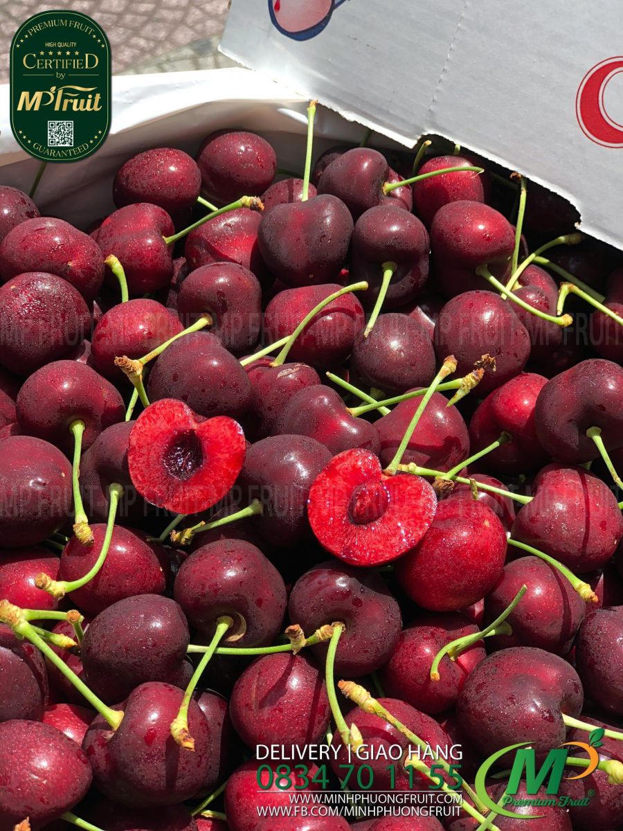 Cherry Đỏ Mỹ Size 8.5 | Zirkle tại MP Fruits