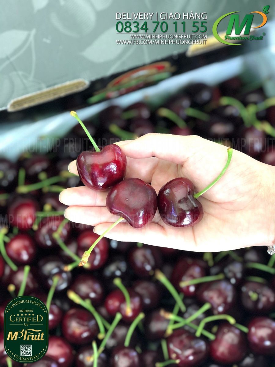 Cherry Đỏ Mỹ Size 8.5 | Rainier Fruit tại MP Fruits