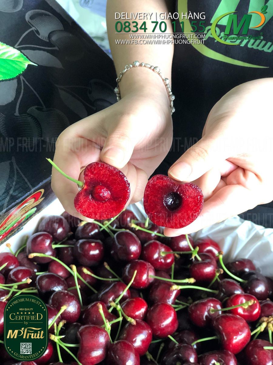 Cherry Đỏ Mỹ Size 8.5 | Rainier Fruit tại MP Fruits