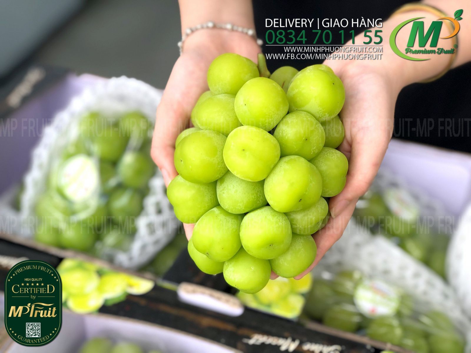 Nho Mẫu Đơn Shine Muscat Premium Hàn Quốc | Greenvil tại MP Fruits