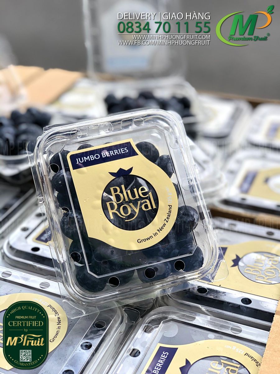 Quả Việt Quất New Zealand Size Jumbo | Blue Royal - Hộp 125g tại MP Fruit