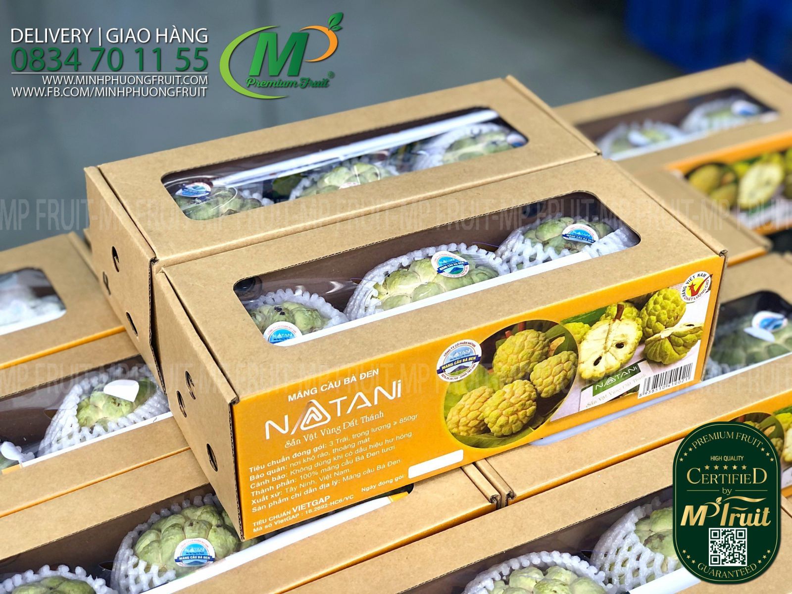 Mãng Cầu Dai Bà Đen Tây Ninh Natani | Hộp 3 Trái (New Box) tại MP Fruit