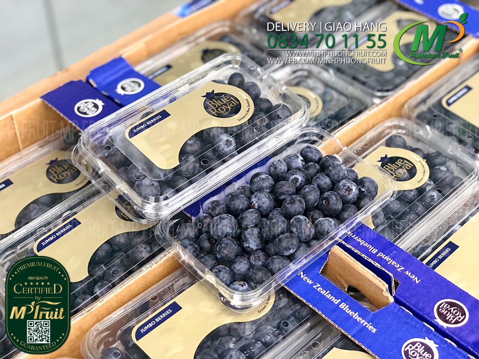 Quả Việt Quất New Zealand Size Jumbo | Blue Royal - Hộp 200g tại MP Fruit