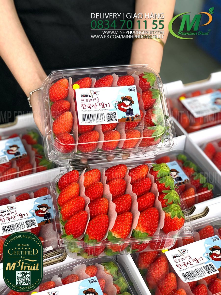 Dâu Tây Hàn Quốc Premium | K-Berry Hộp 500g