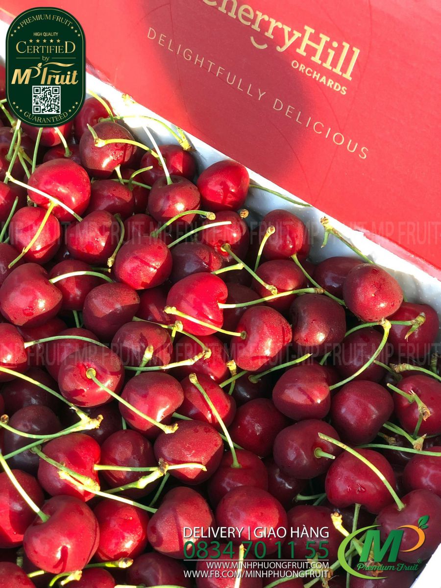 Cherry Đỏ Úc Size 28 - 30 | Cherry Hill Orchards tại MP Fruit