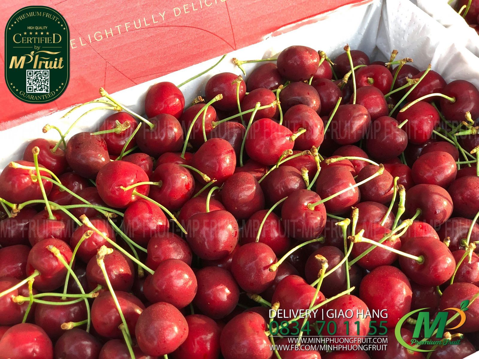 Cherry Đỏ Úc Size 28 - 30 | Cherry Hill Orchards tại MP Fruit