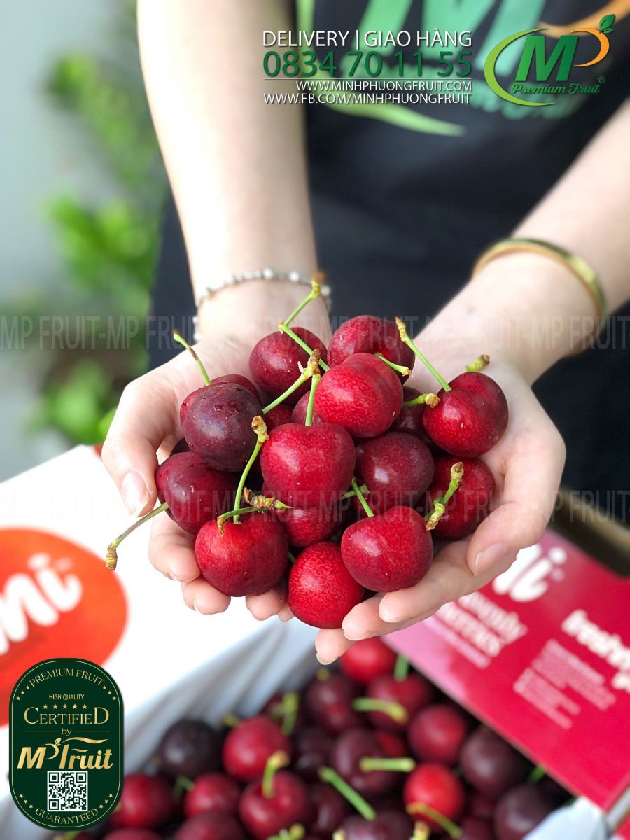 Cherry Đỏ Lani New Zealand Size 30+ tại MP Fruits