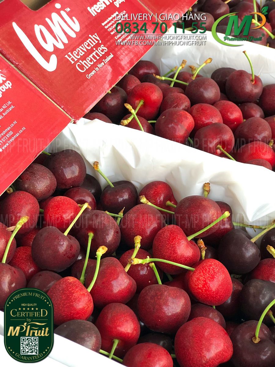 Cherry Đỏ Lani New Zealand Size 32+ tại MP Fruits
