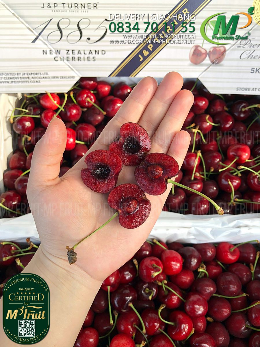 Cherry Đỏ New Zealand Size 28+ | J&P Turner tại MP Fruits