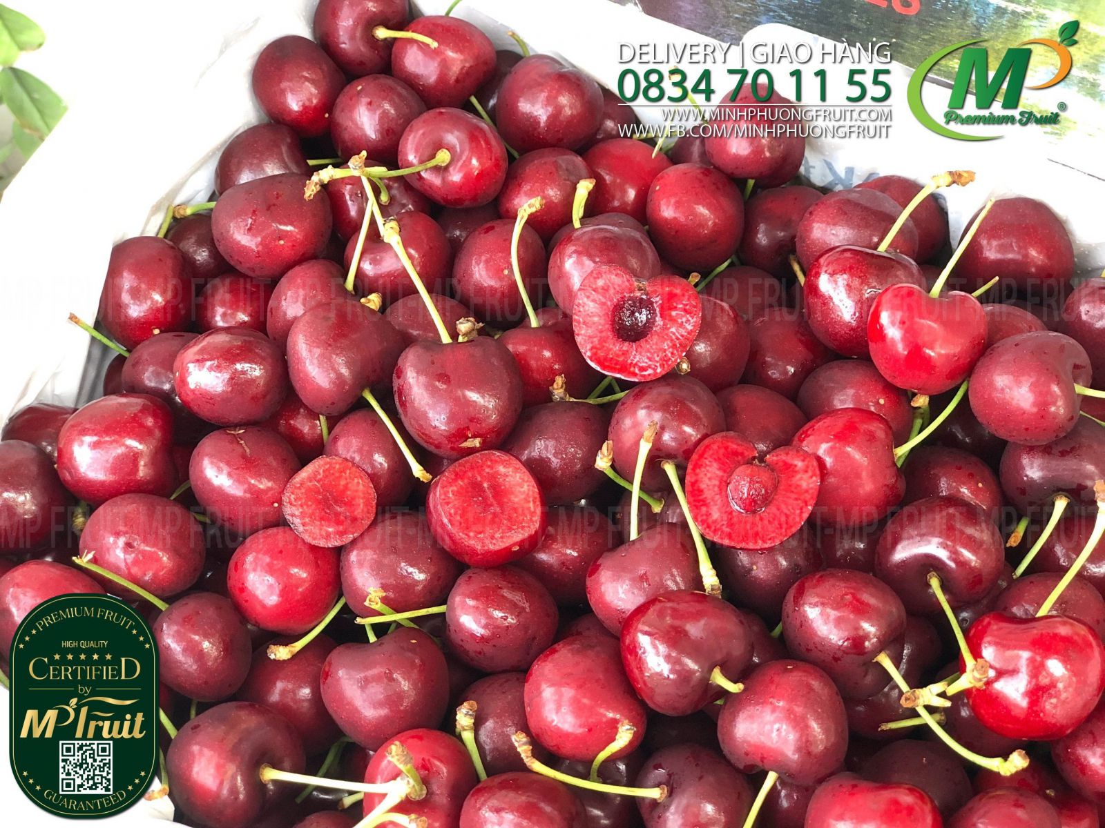 Cherry Đỏ Úc Size 28 - 30 | Goulburn River tại MP Fruit