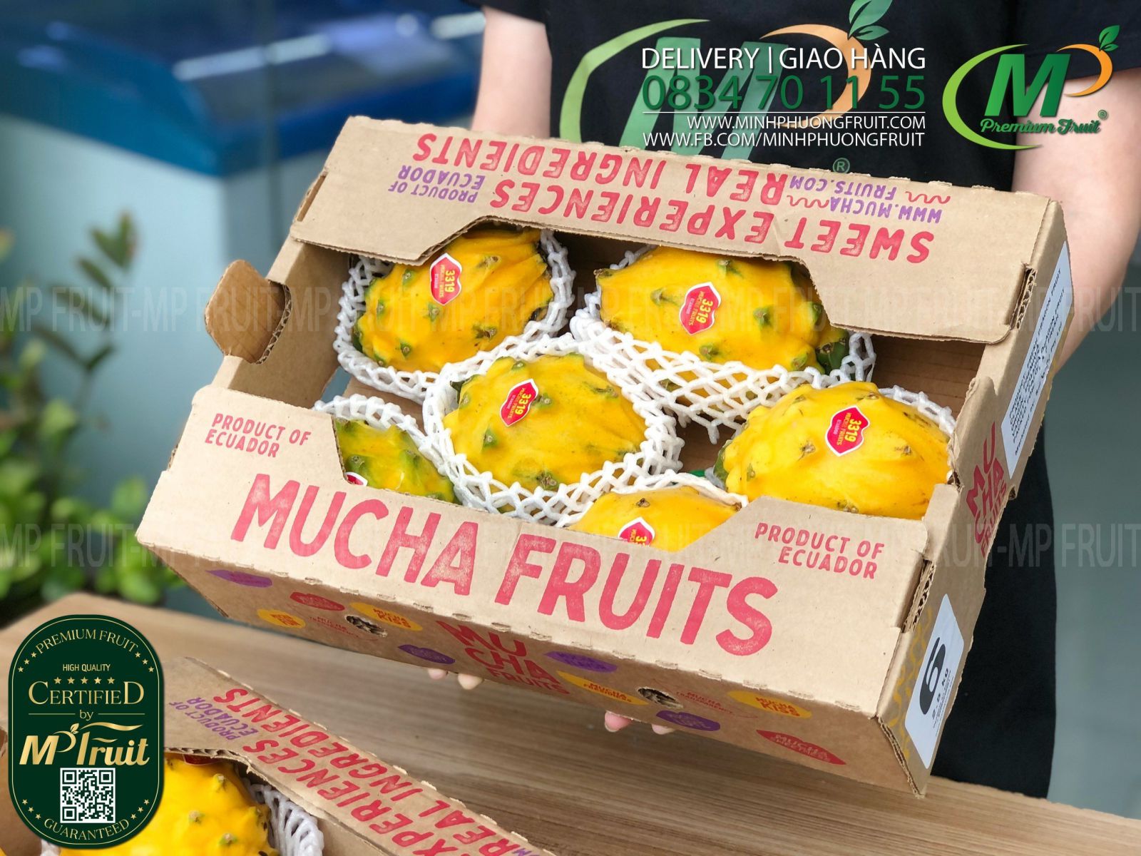 Thanh Long Vàng Ecuador | Mucha Fruits tại MP Fruit 