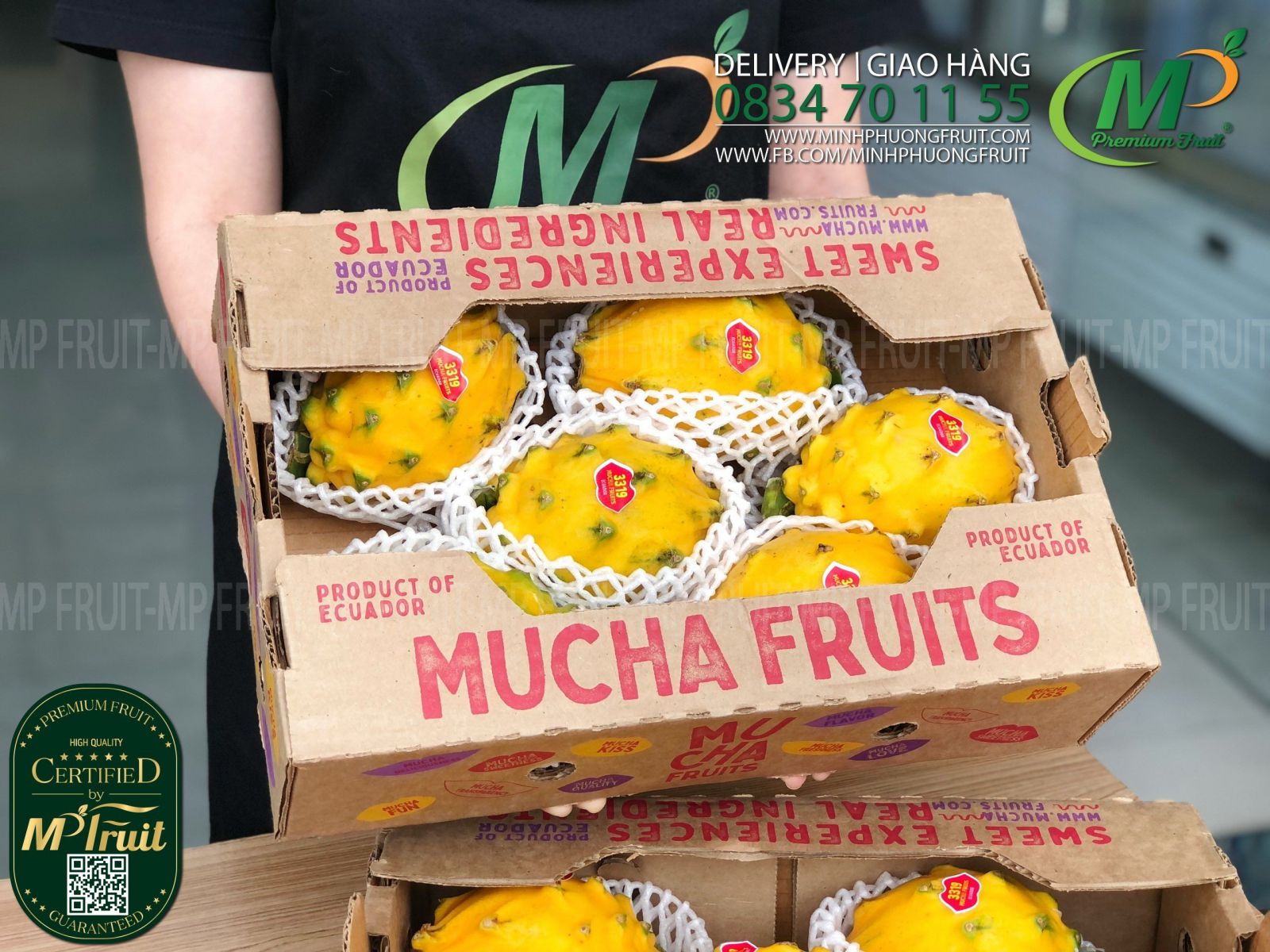 Thanh Long Vàng Ecuador | Mucha Fruits tại MP Fruit 