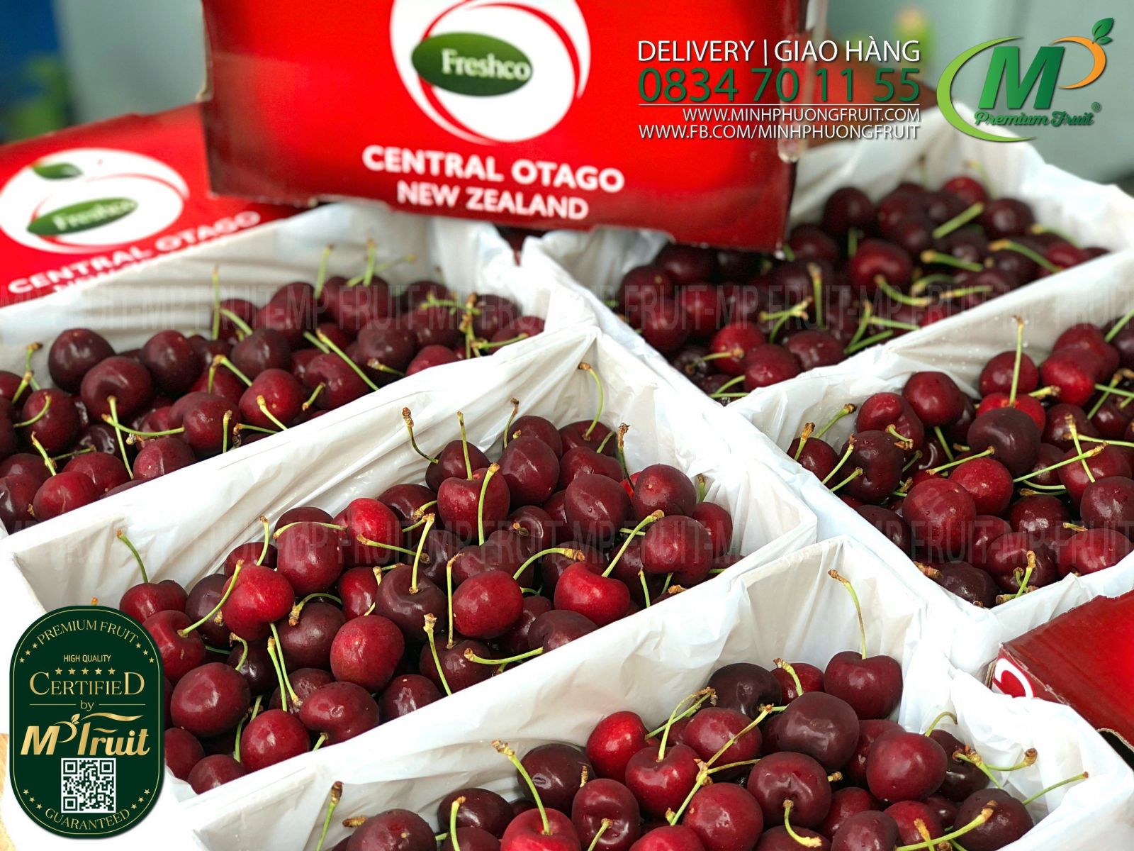 Cherry Đỏ New Zealand Size 30+ | Freshco tại MP Fruits