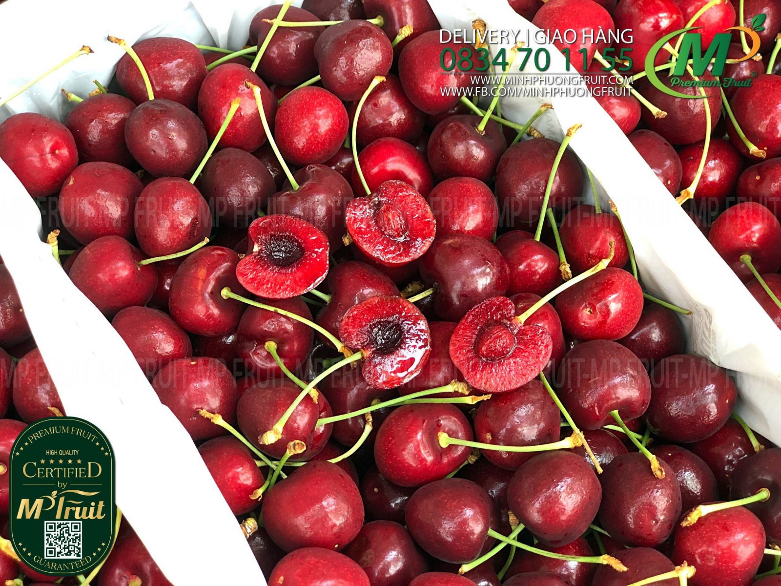 Cherry Đỏ Tasmania Size 28-30 | Reid Fruits thương hiệu lâu năm của Úc tại MP Fruit