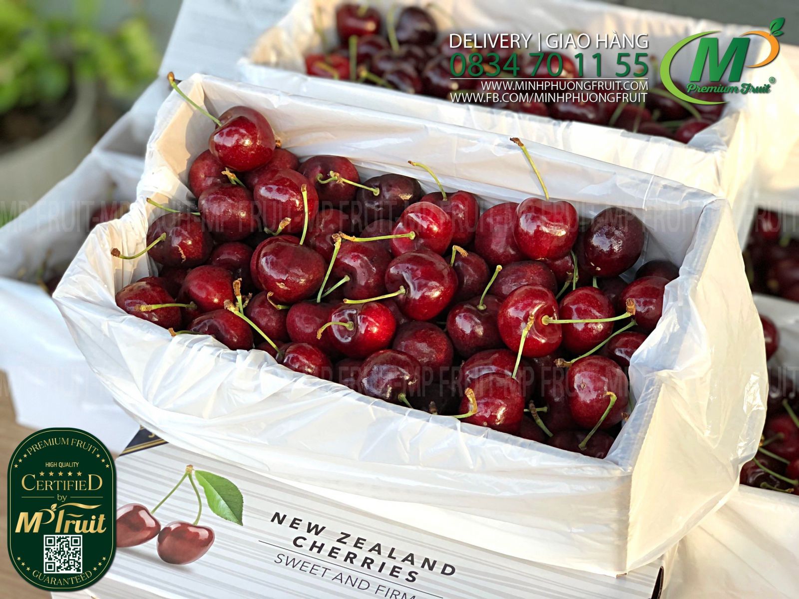 Cherry Đỏ New Zealand Size 32+ | J&P Turner tại MP Fruits