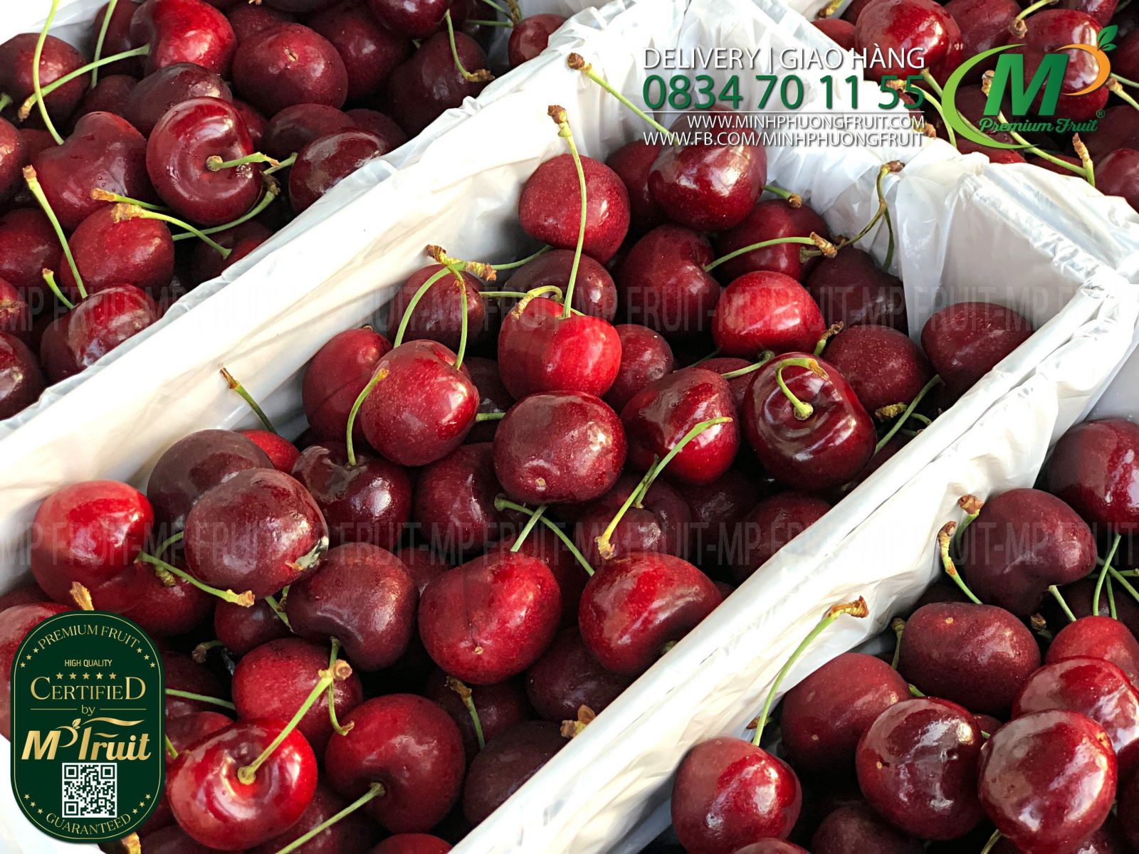 Cherry Đỏ New Zealand Size 32+ | J&P Turner - Hộp 2kg tại MP Fruits