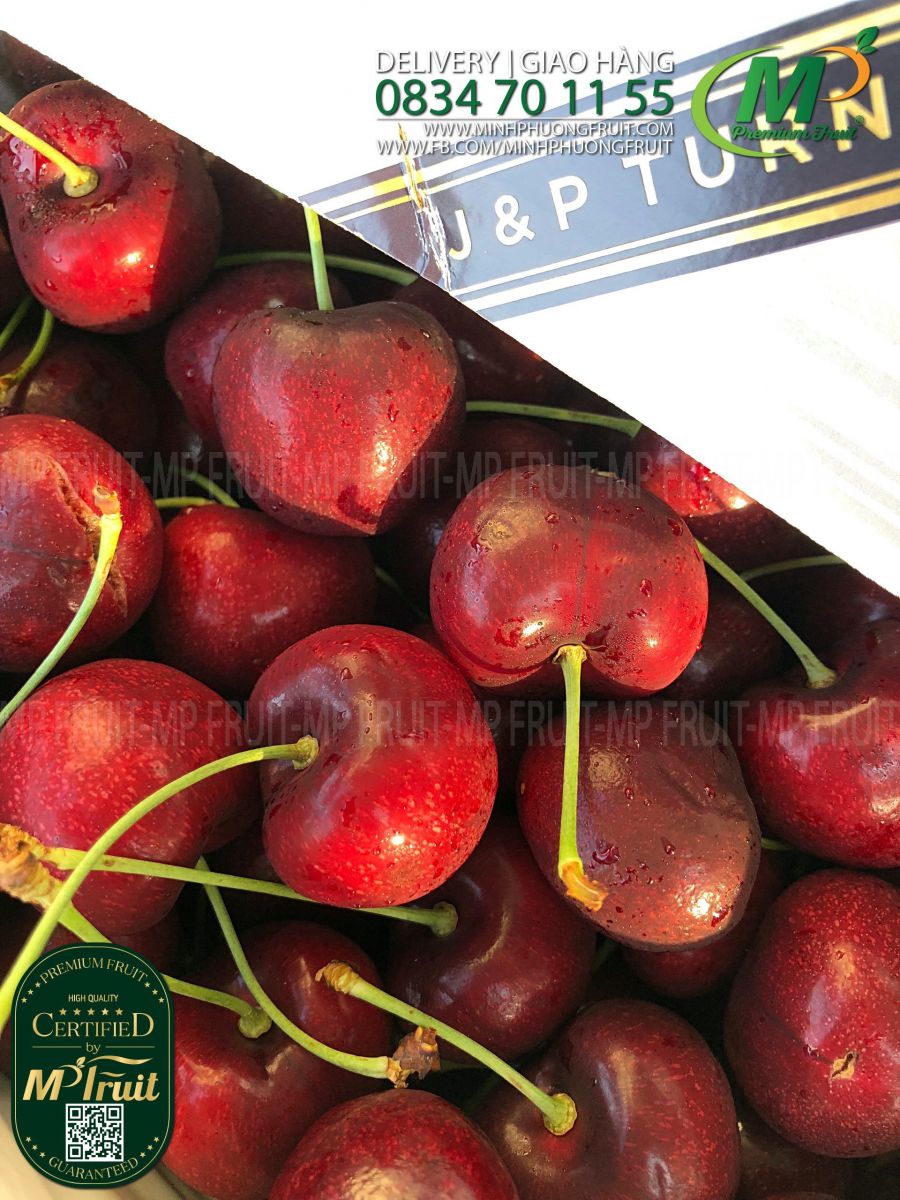 Cherry Đỏ New Zealand Size 32+ | J&P Turner tại MP Fruits