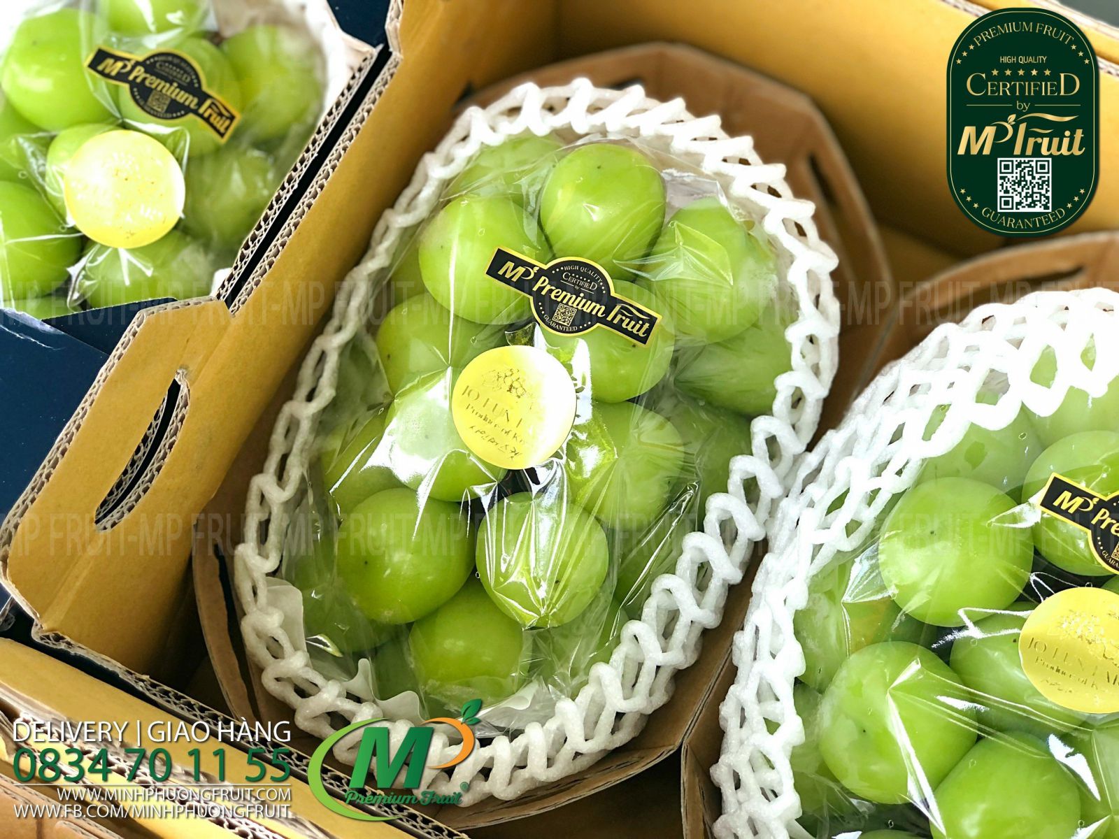 Nho Mẫu Đơn Shine Muscat Premium Hàn Quốc | Jo Eun Farm tại MP Fruits