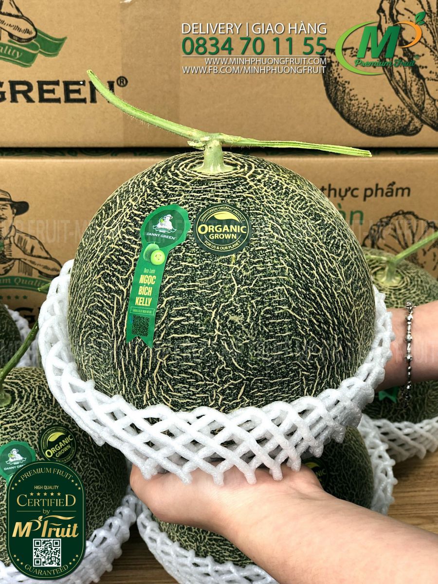 Dưa Lưới Giống Nhật Ngọc Bích Kelly Organic - Emerald Kelly Melon Danny Green