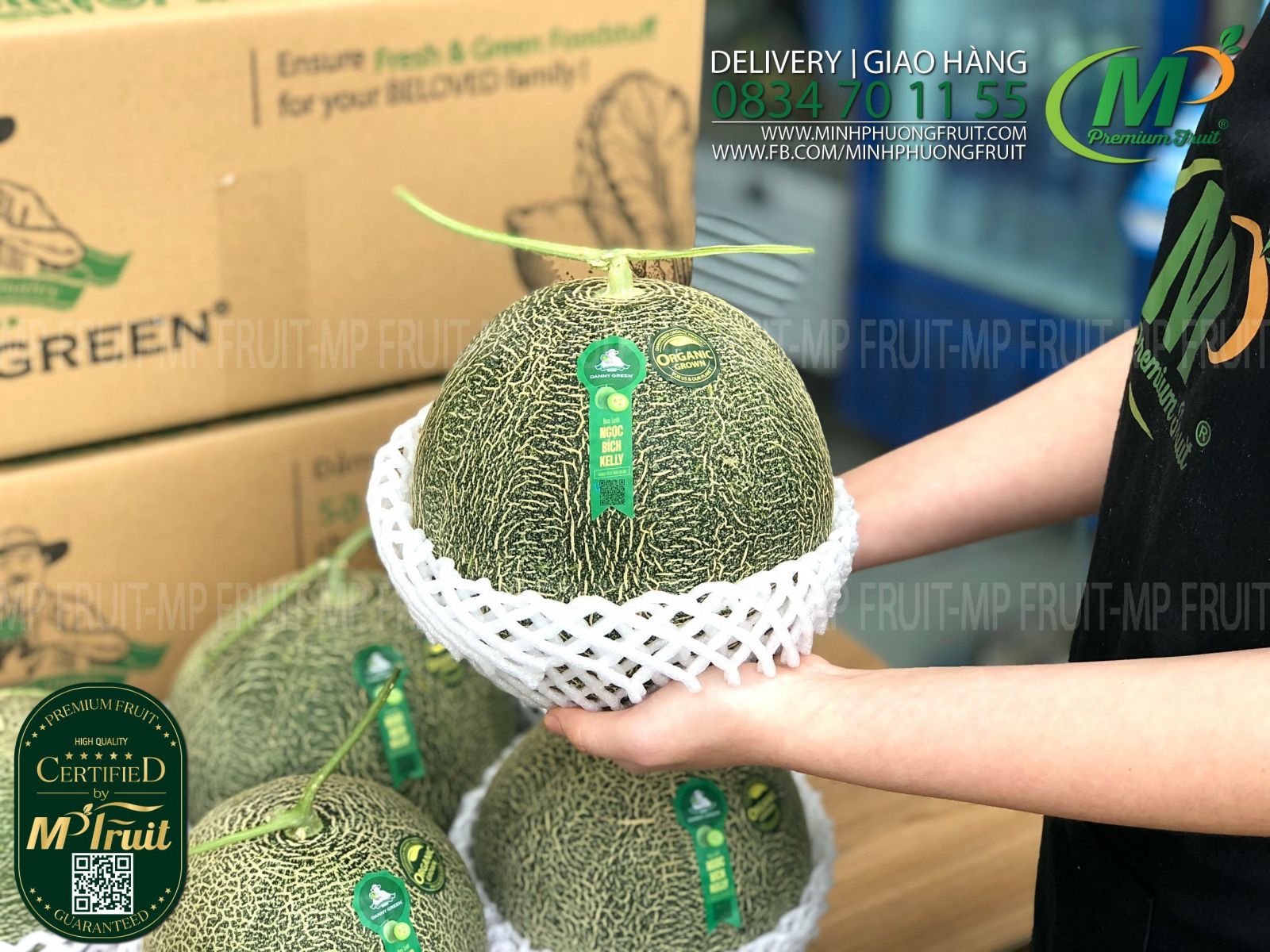 Dưa Lưới Giống Nhật Ngọc Bích Kelly Organic - Emerald Kelly Melon Danny Green