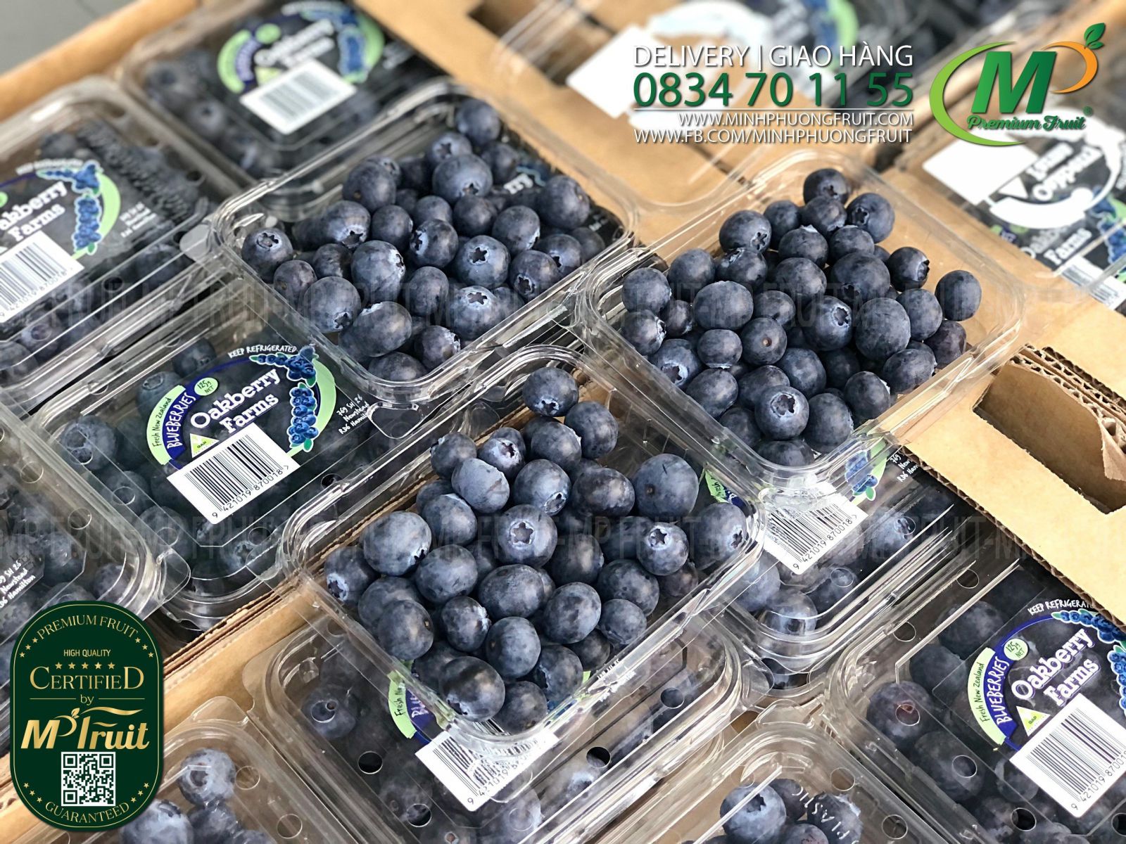 Quả Việt Quất New Zealand | Oakberry Farms - Hộp 125g