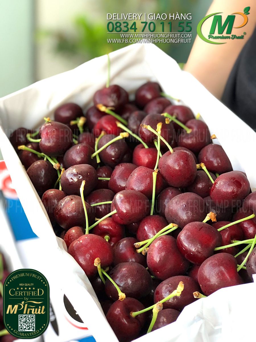 Cherry Đỏ New Zealand Size 28+ | Pickers Best tại MP Fruit