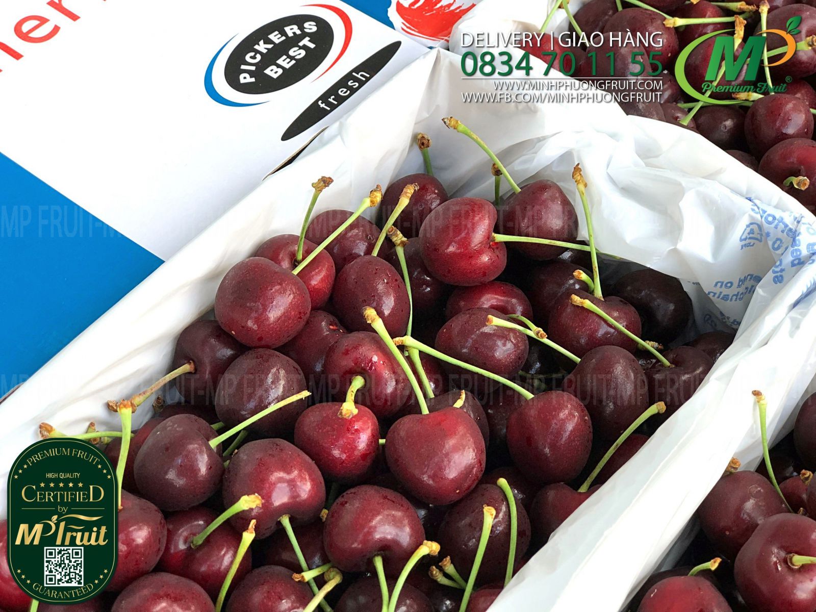 Cherry Đỏ New Zealand Size 28+ | Pickers Best tại MP Fruit