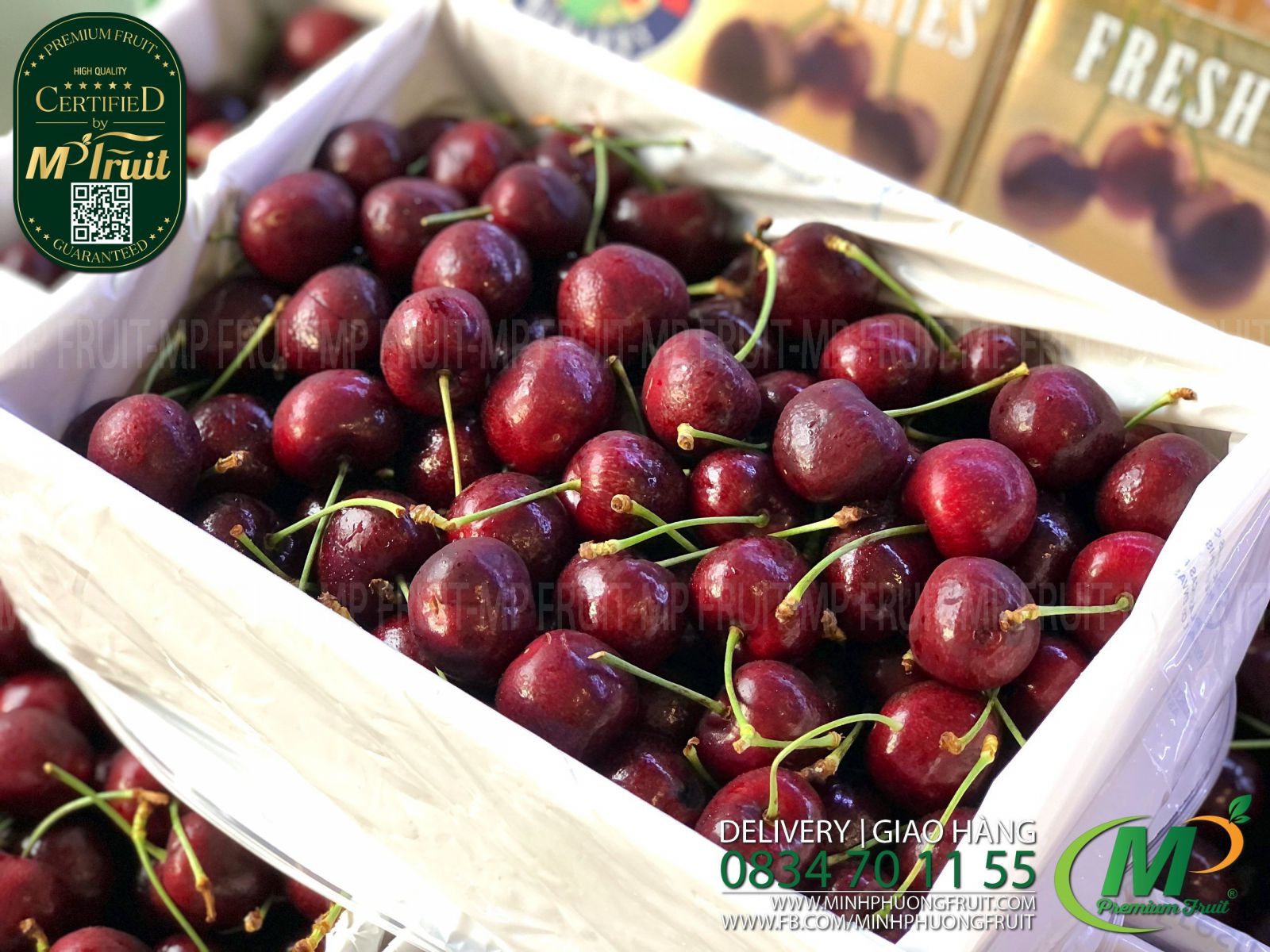 Cherry Đỏ Tasmania Úc Size 32-34 | Hansen Orchards thương hiệu lâu năm của Úc tại MP Fruit