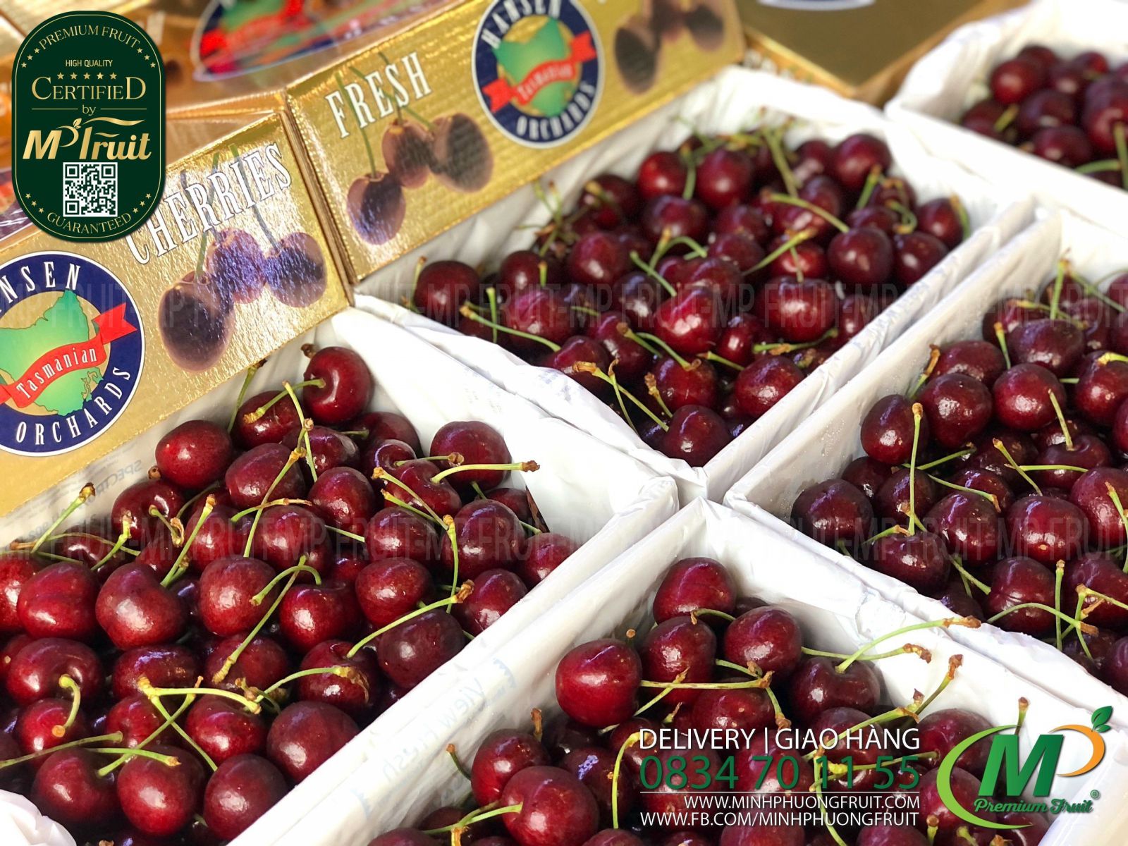 Cherry Đỏ Tasmania Úc Size 32-34 | Hansen Orchards thương hiệu lâu năm của Úc tại MP Fruit