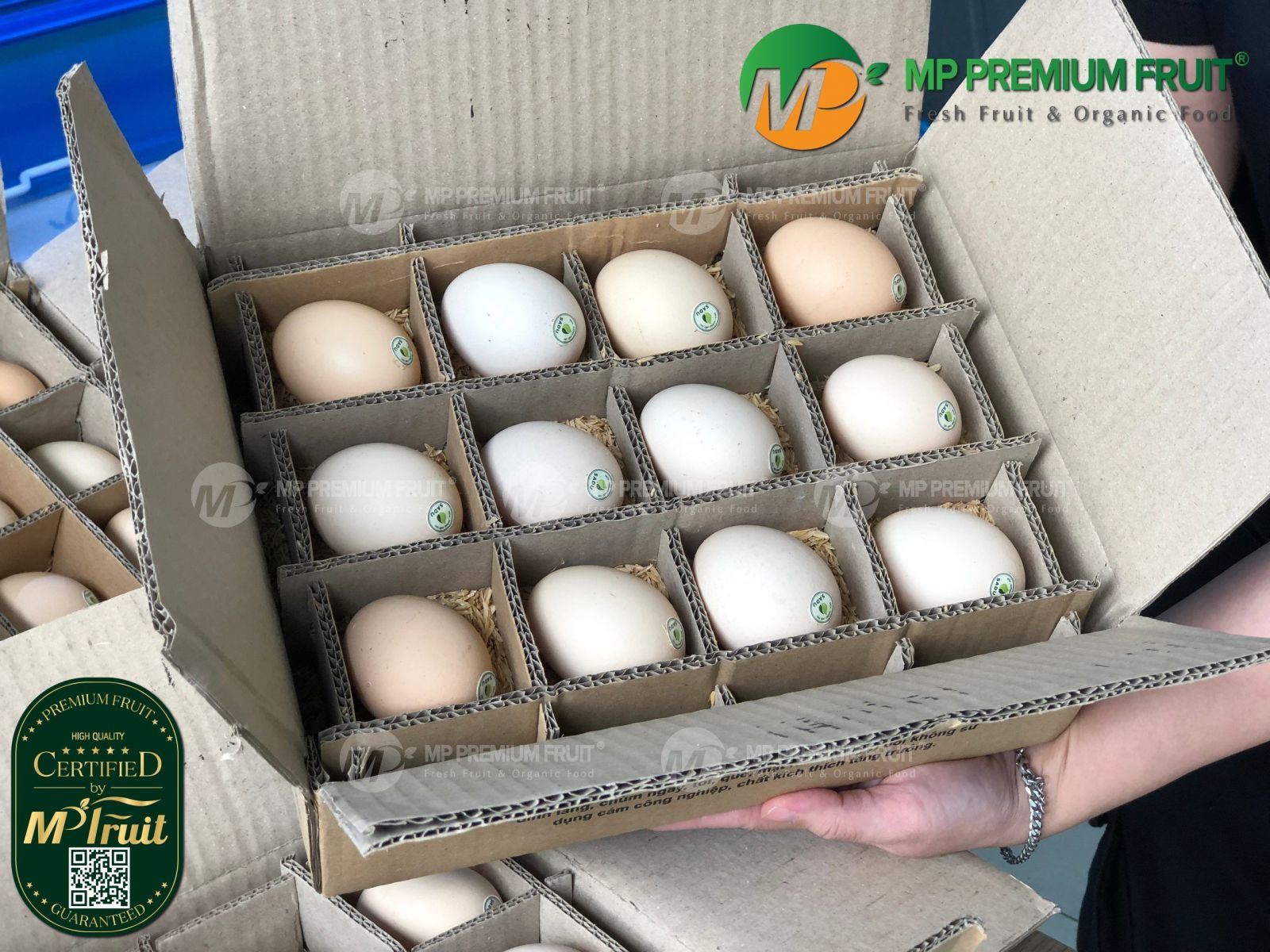 Trứng Gà Thảo Dược Cà Gai Leo Sadu Hộp 12 Quả tại MP Fruit