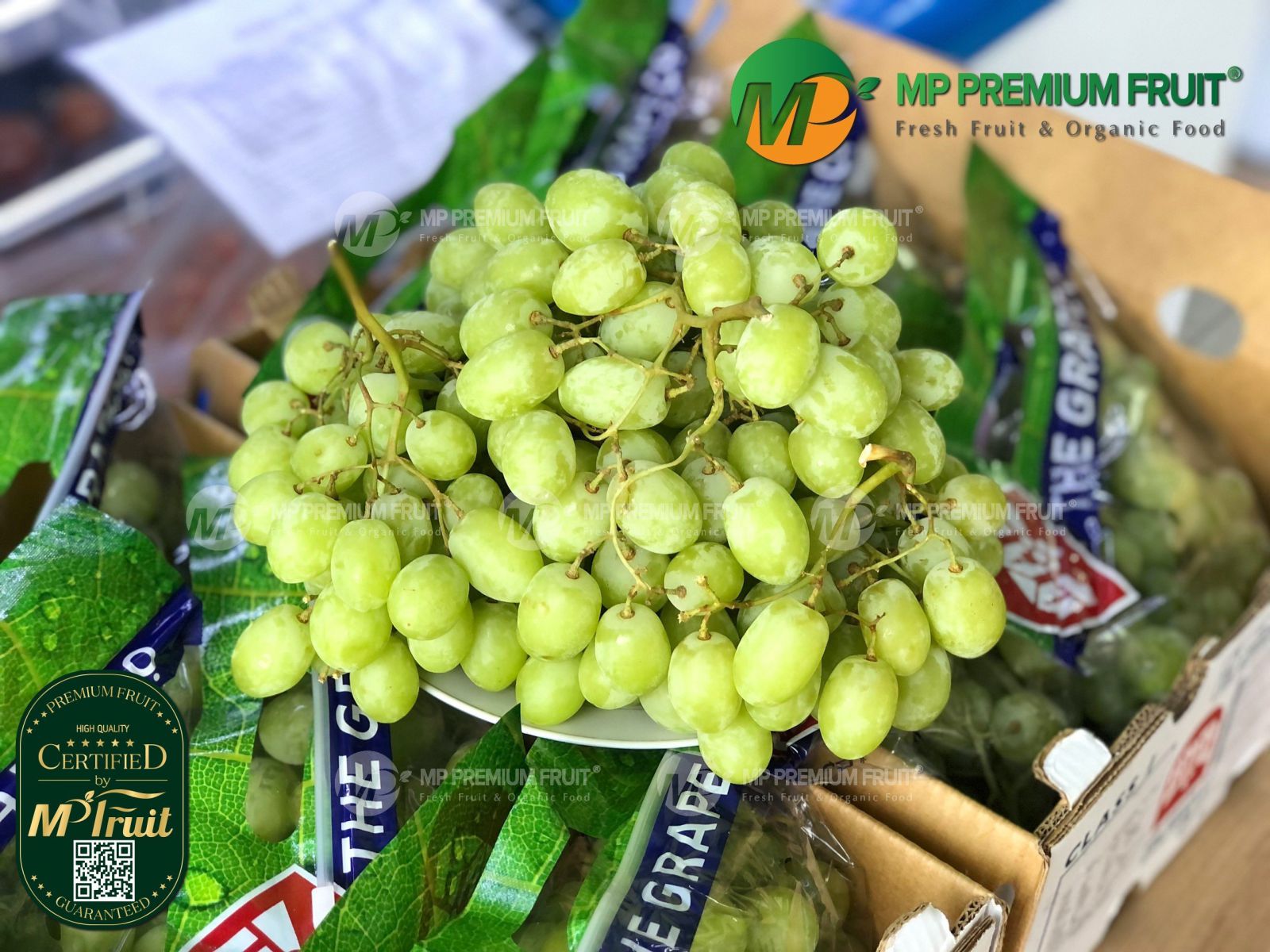 Nho Xanh Sweet Globe Nam Phi | The Grape Co tại MP Fruit