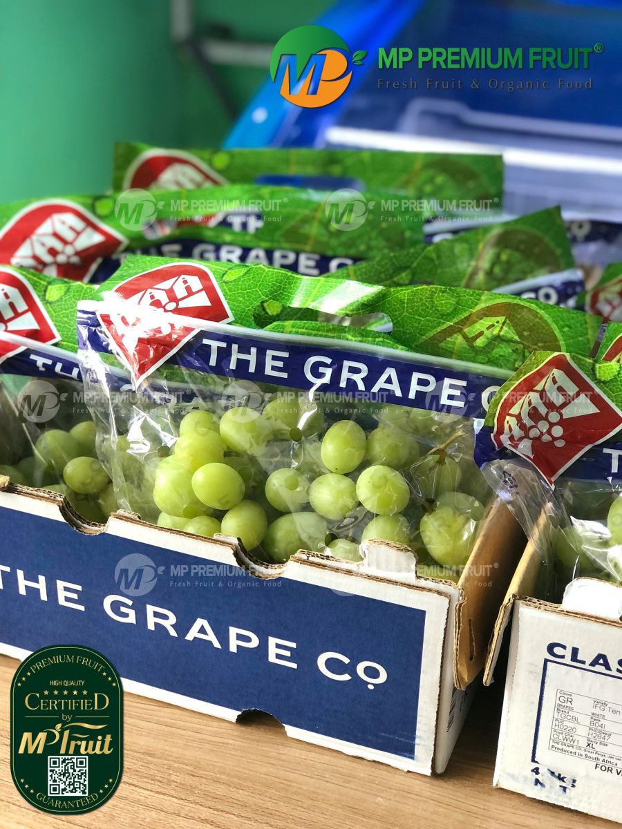 Nho Xanh Sweet Globe Nam Phi | The Grape Co tại MP Fruit