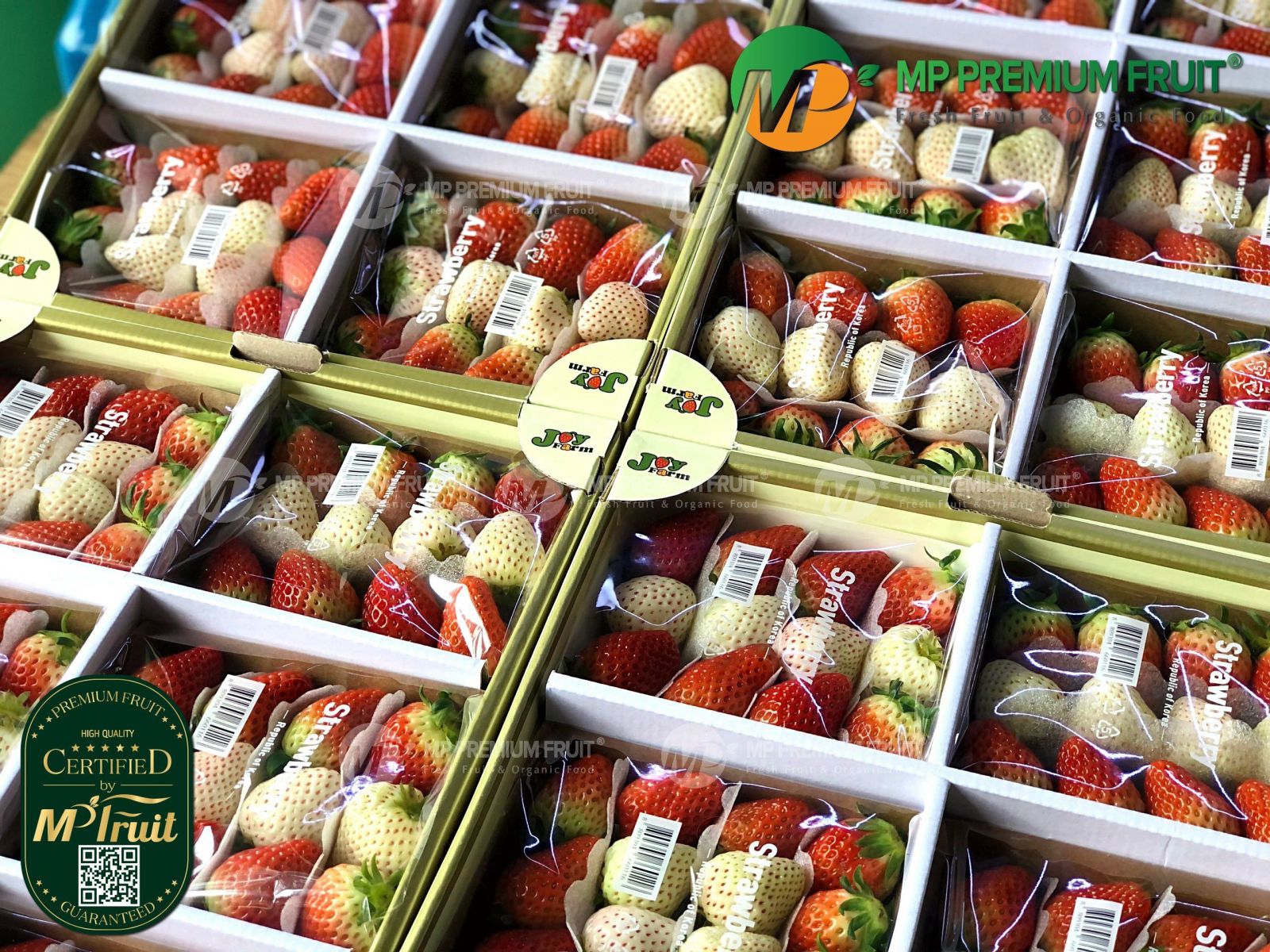 Dâu Tây Đỏ Kuemsil Mix Dâu Bạch Tuyết Premium Hàn Quốc | Joy Farm - Khay 200g tại MP Fruit
