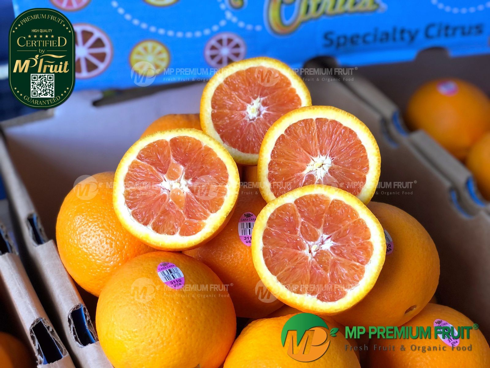Cam Ruột Đỏ Cara Mỹ | Bee Sweet Citrus tại MP Fruit