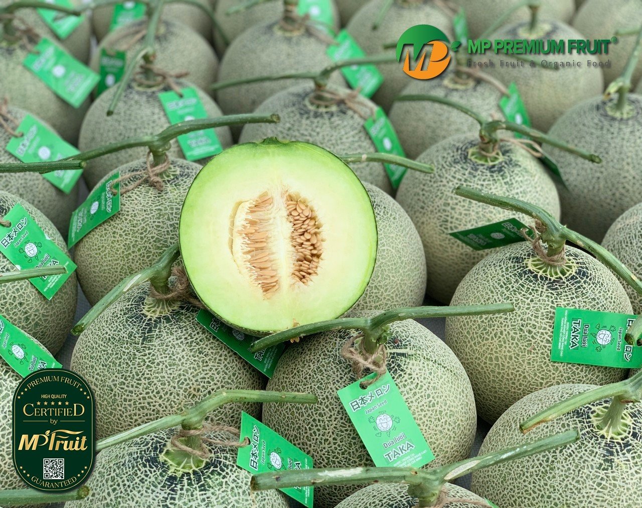Dưa Lưới Giống Nhật Bản Taka Melon tại MP Fruit