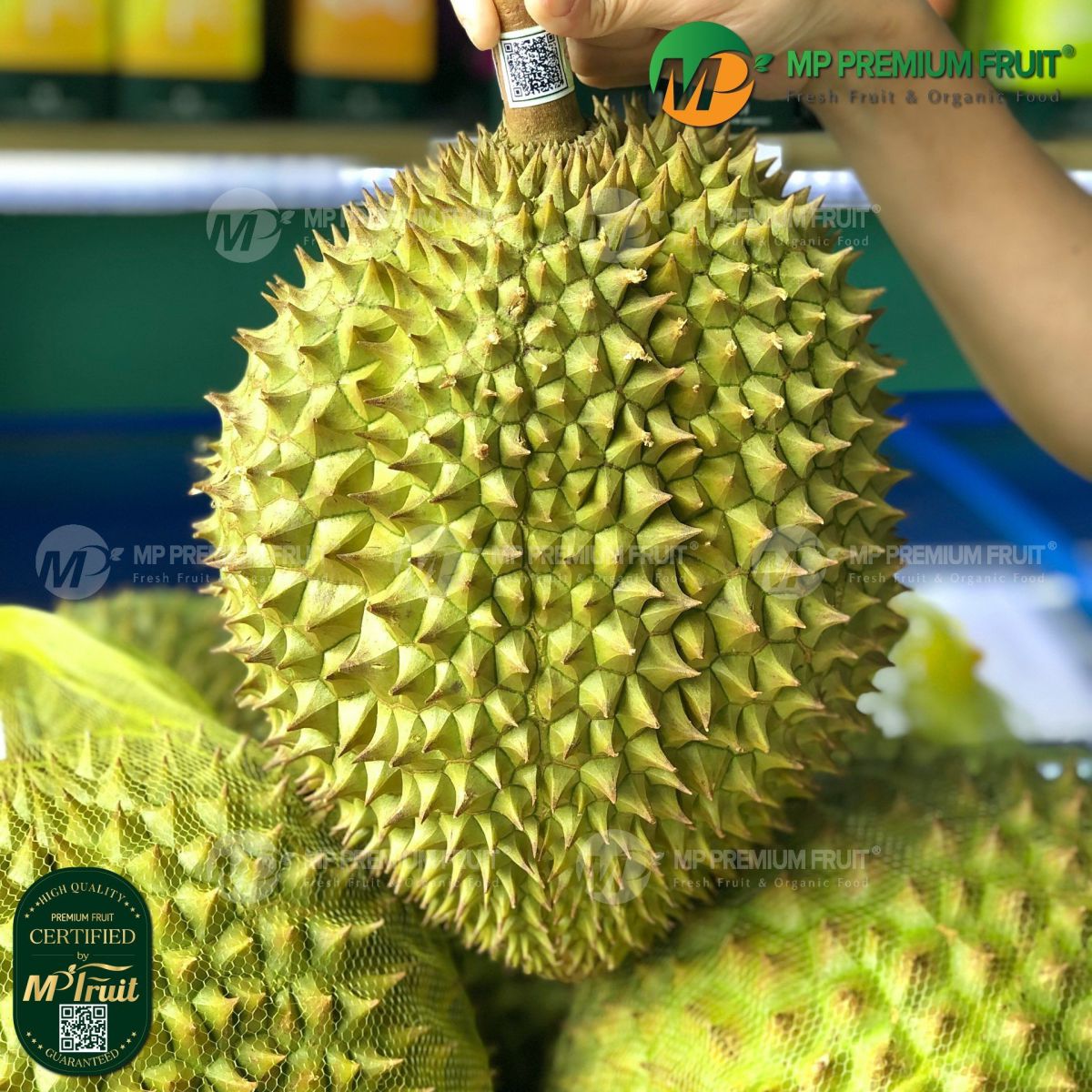Sầu Riêng Ri6 Food Network tại MP Fruit