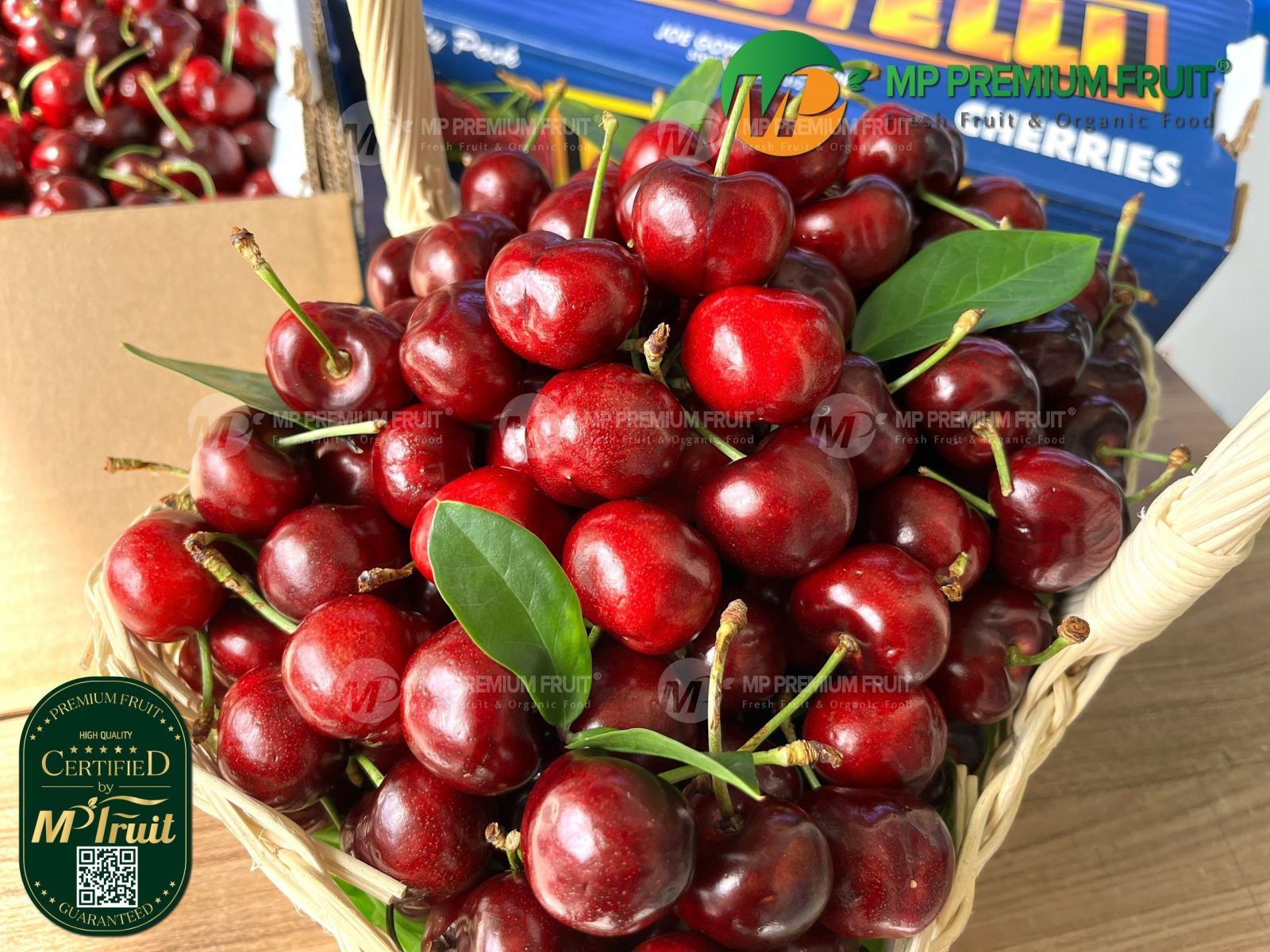 Cherry Đỏ Mỹ Size 8.5 | Gotelli tại MP Fruit