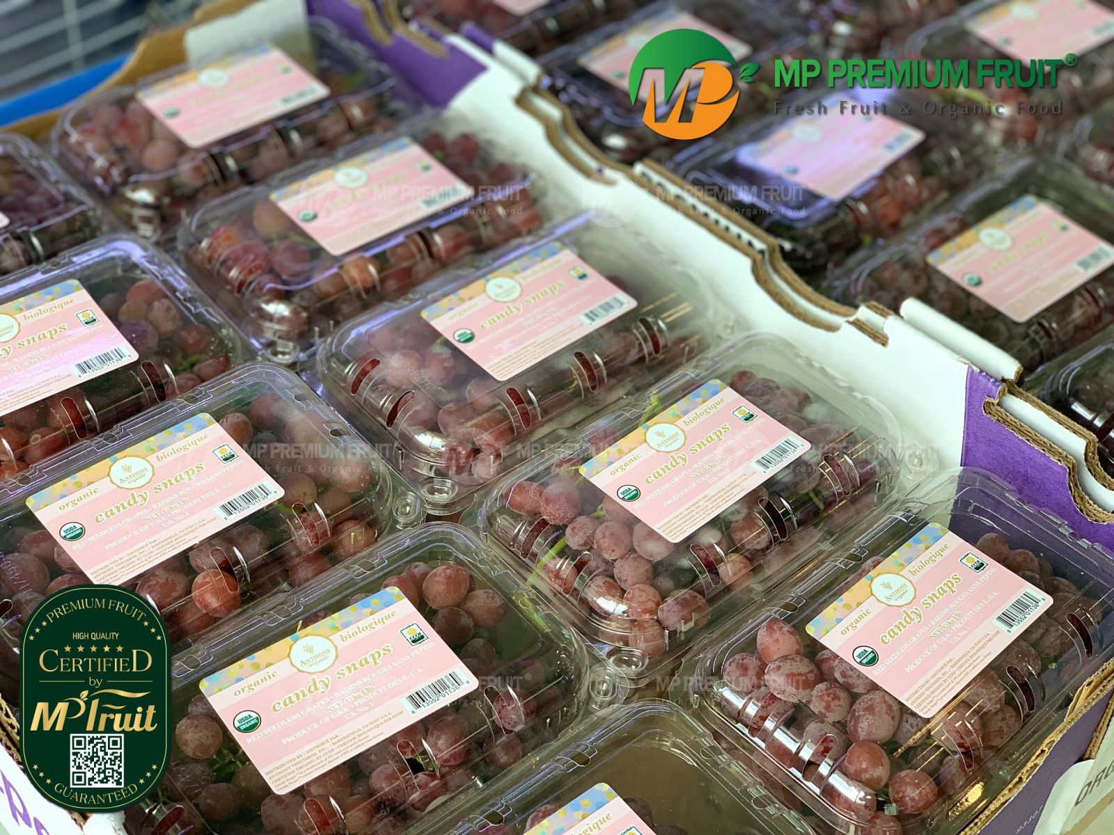 Nho Đỏ Kẹo Candy Snaps USDA Organic Mỹ | Anthony - Hộp 453g tại MP Fruit
