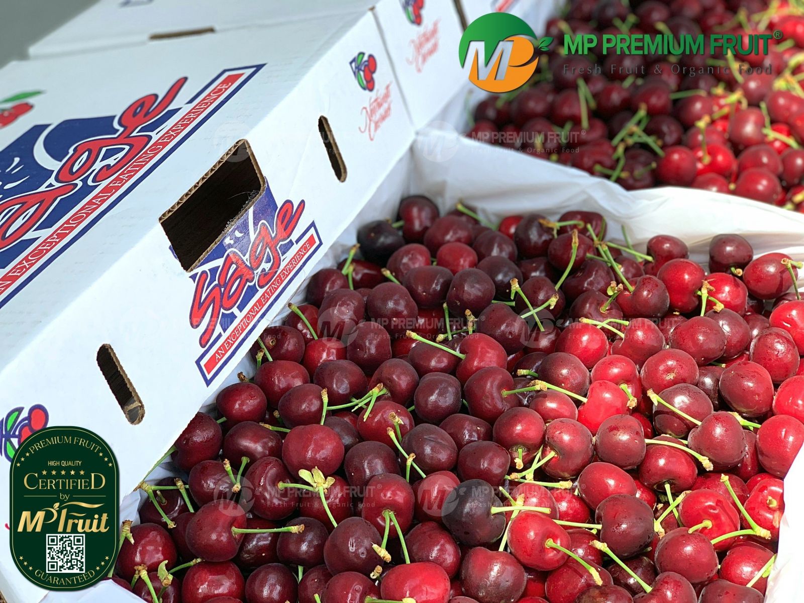 Cherry Đỏ Washington Mỹ tại MP Fruit