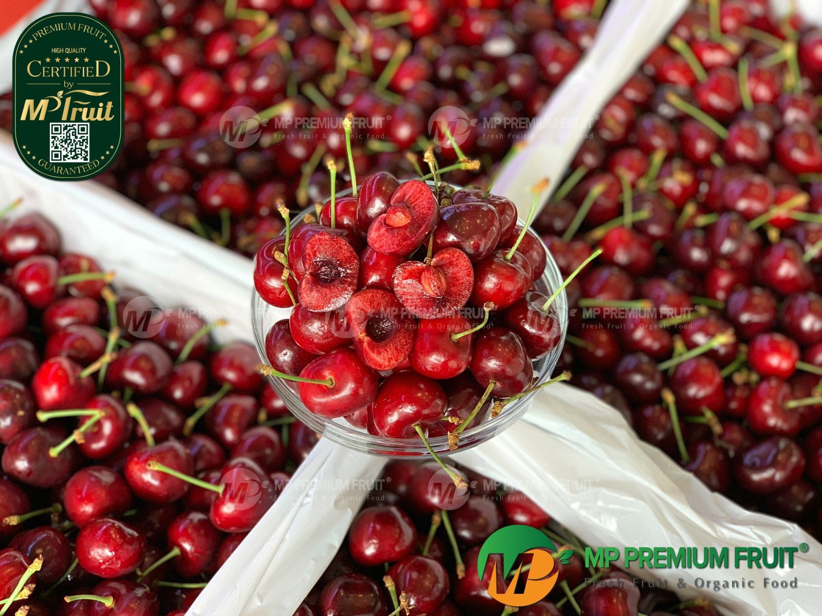 Cherry Đỏ Washington Mỹ Size 9 | Super Fresh Growers tại MP Fruit