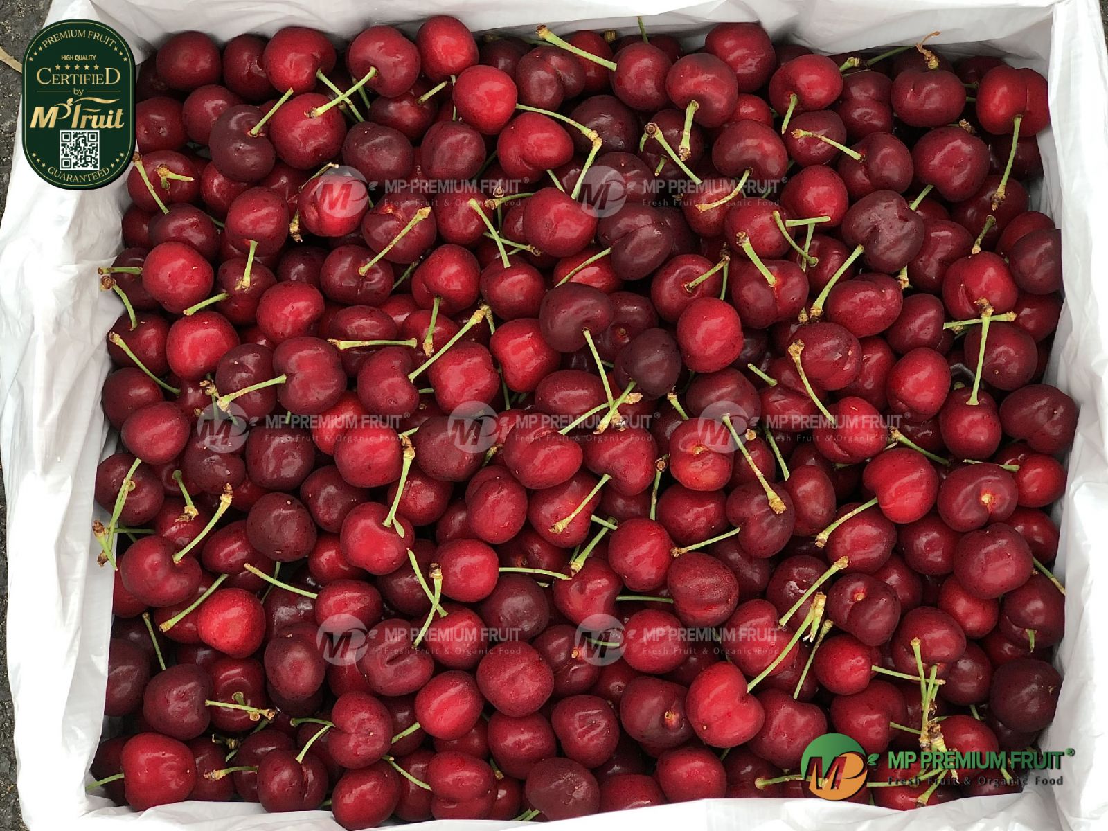 Cherry Đỏ Mỹ Size 9.5 tại MP Fruit