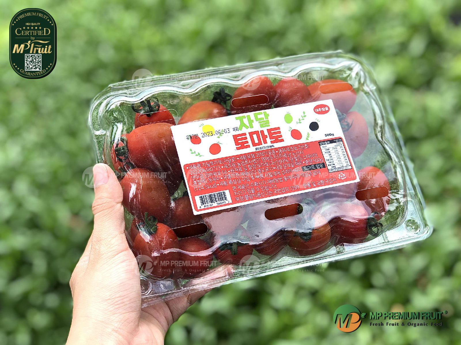 Cà Mật Ong Hàn Quốc tại MP Fruit