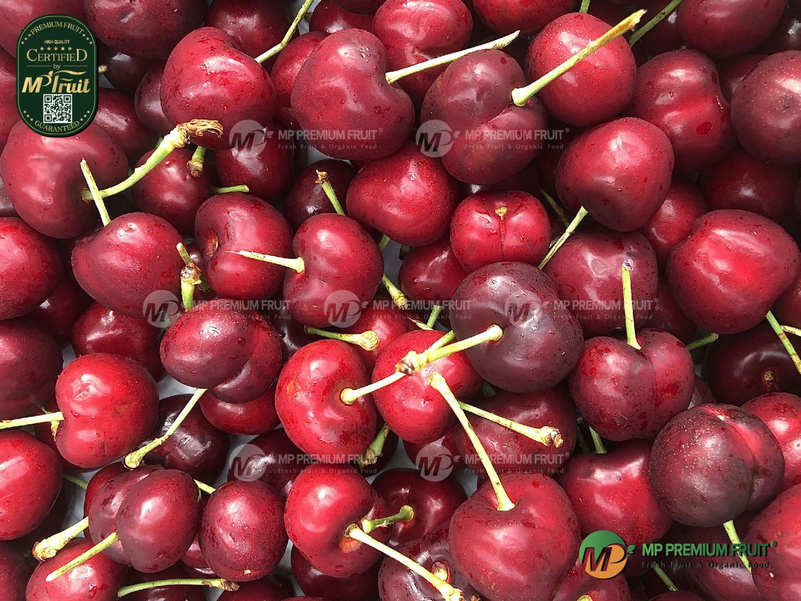 Cherry Đỏ Mỹ Size 8.5 | Meena tại MP Fruits