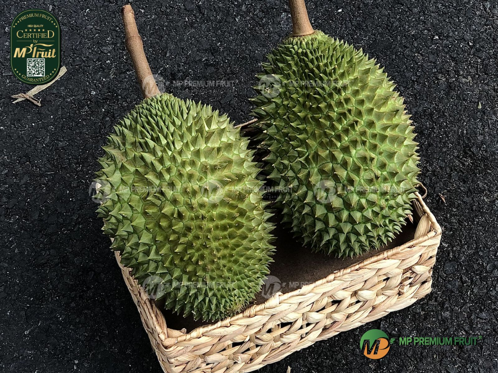Sầu Riêng Musang King giống Malaysia | Nguyên Trái tại MP Fruit 