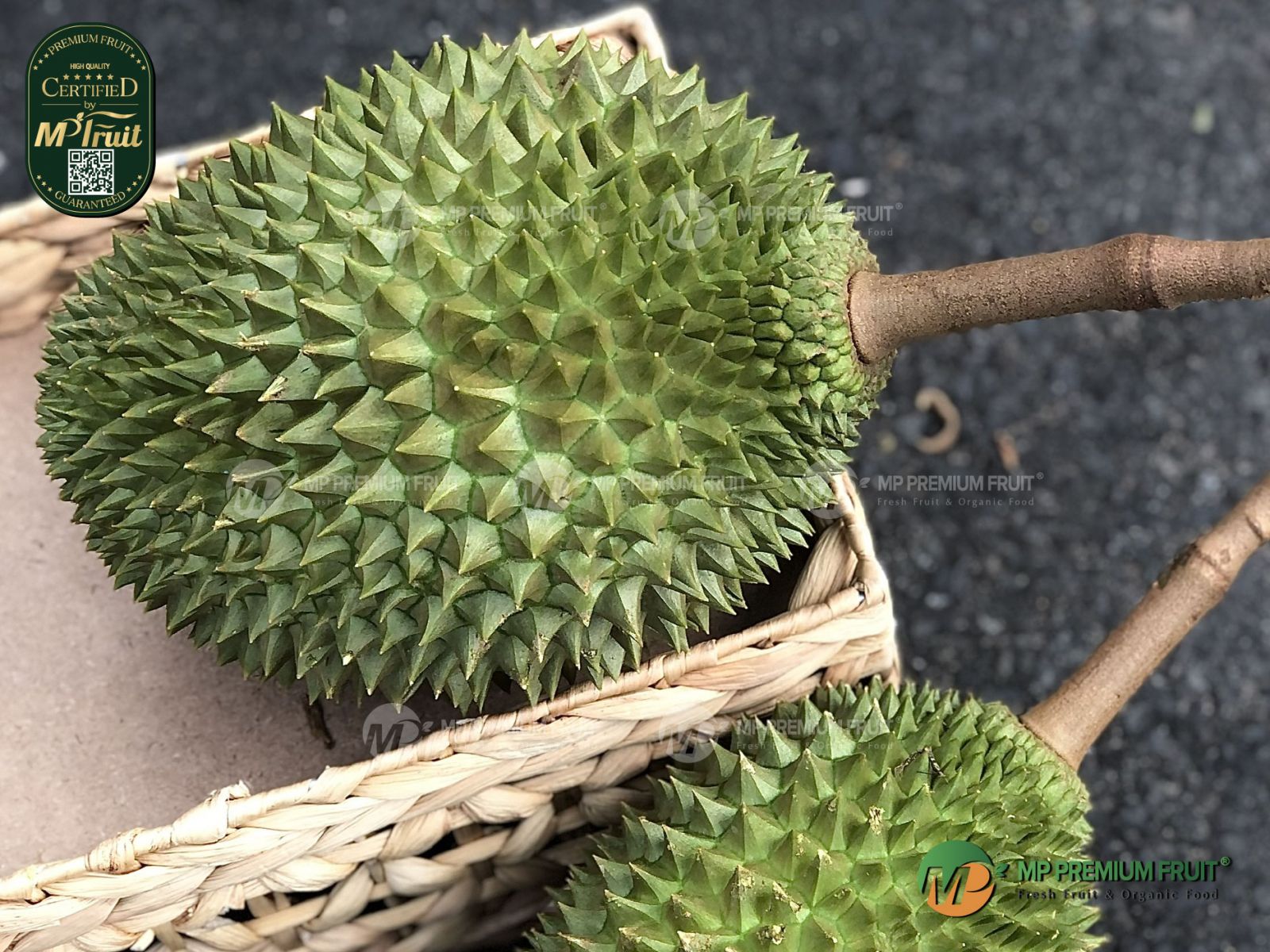 Sầu Riêng Musang King giống Malaysia | Nguyên Trái tại MP Fruit