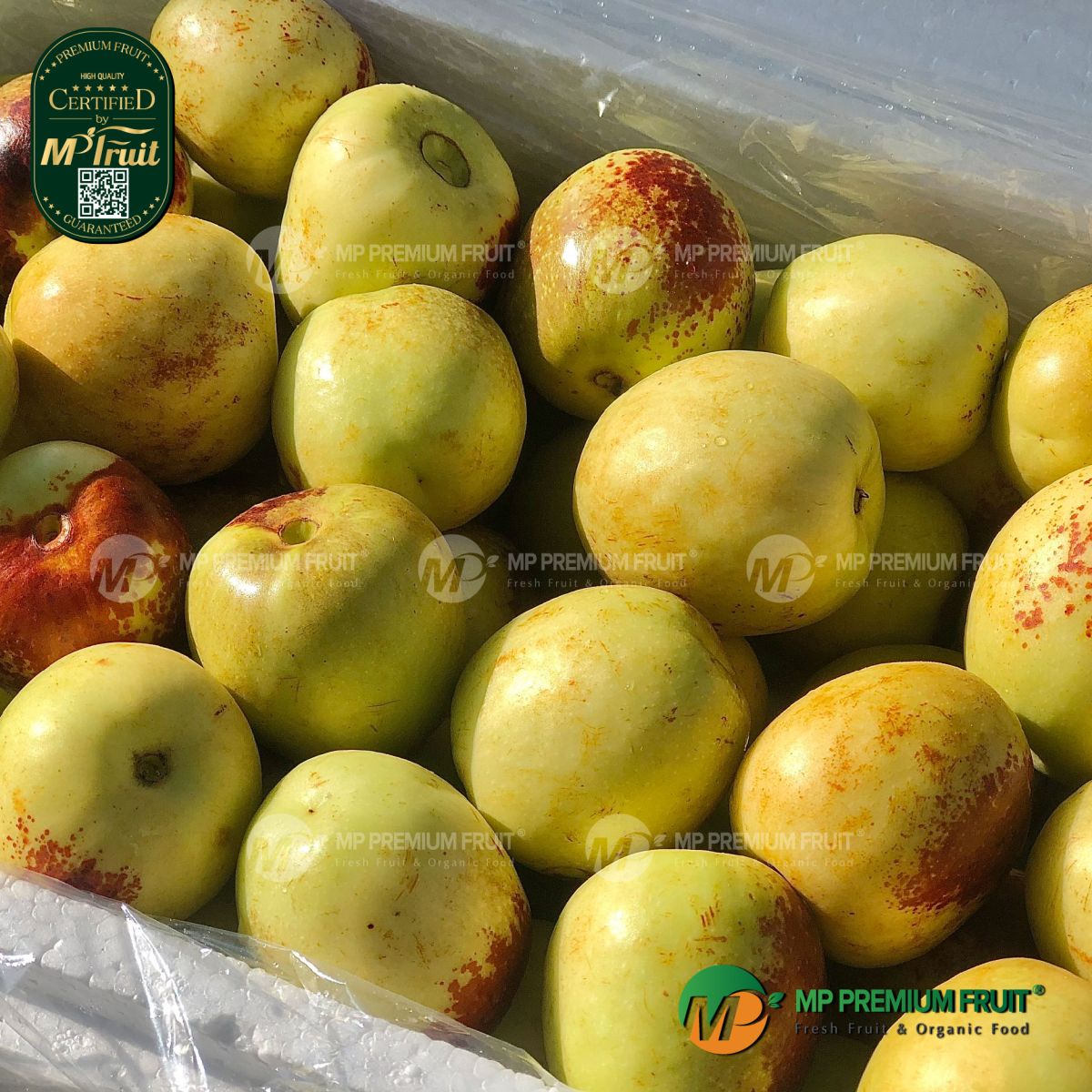 Quả Táo Tàu Tươi tại MP Fruit